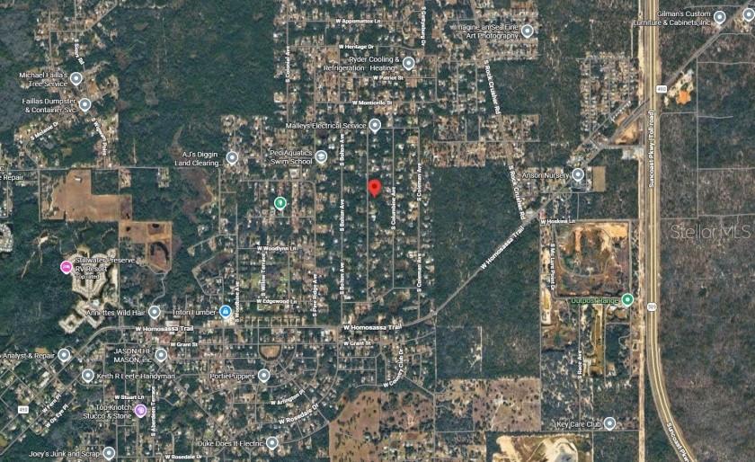 2389 S BASCOMBE AVE, HOMOSASSA, FL, 34448