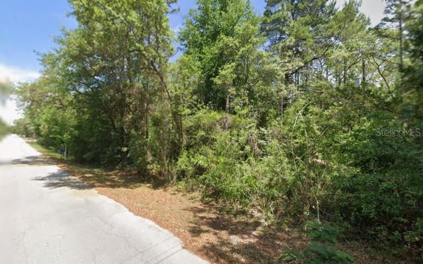 2389 S BASCOMBE AVE, HOMOSASSA, FL, 34448