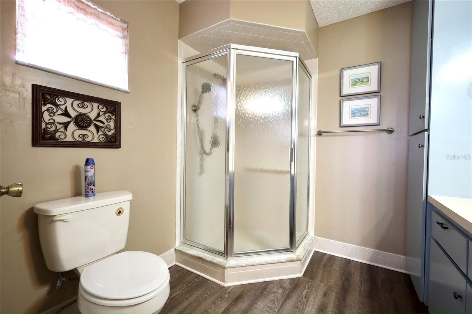 17562 SE 106TH AVE, SUMMERFIELD, FL, 34491