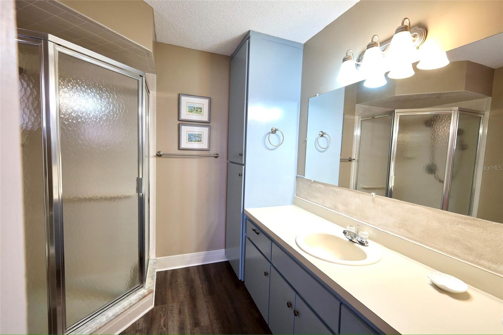 17562 SE 106TH AVE, SUMMERFIELD, FL, 34491