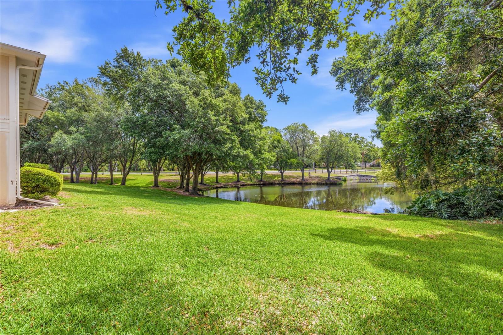 6015 LAKETREE LN #B, TEMPLE TERRACE, FL, 33617