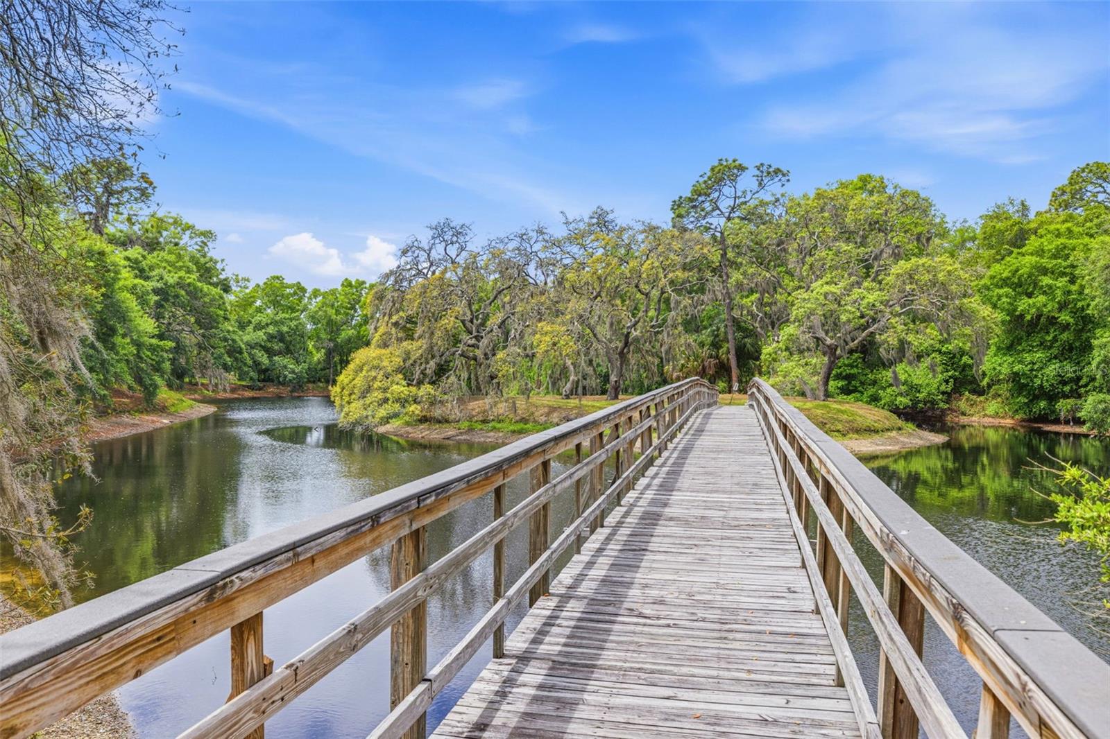 6015 LAKETREE LN #B, TEMPLE TERRACE, FL, 33617