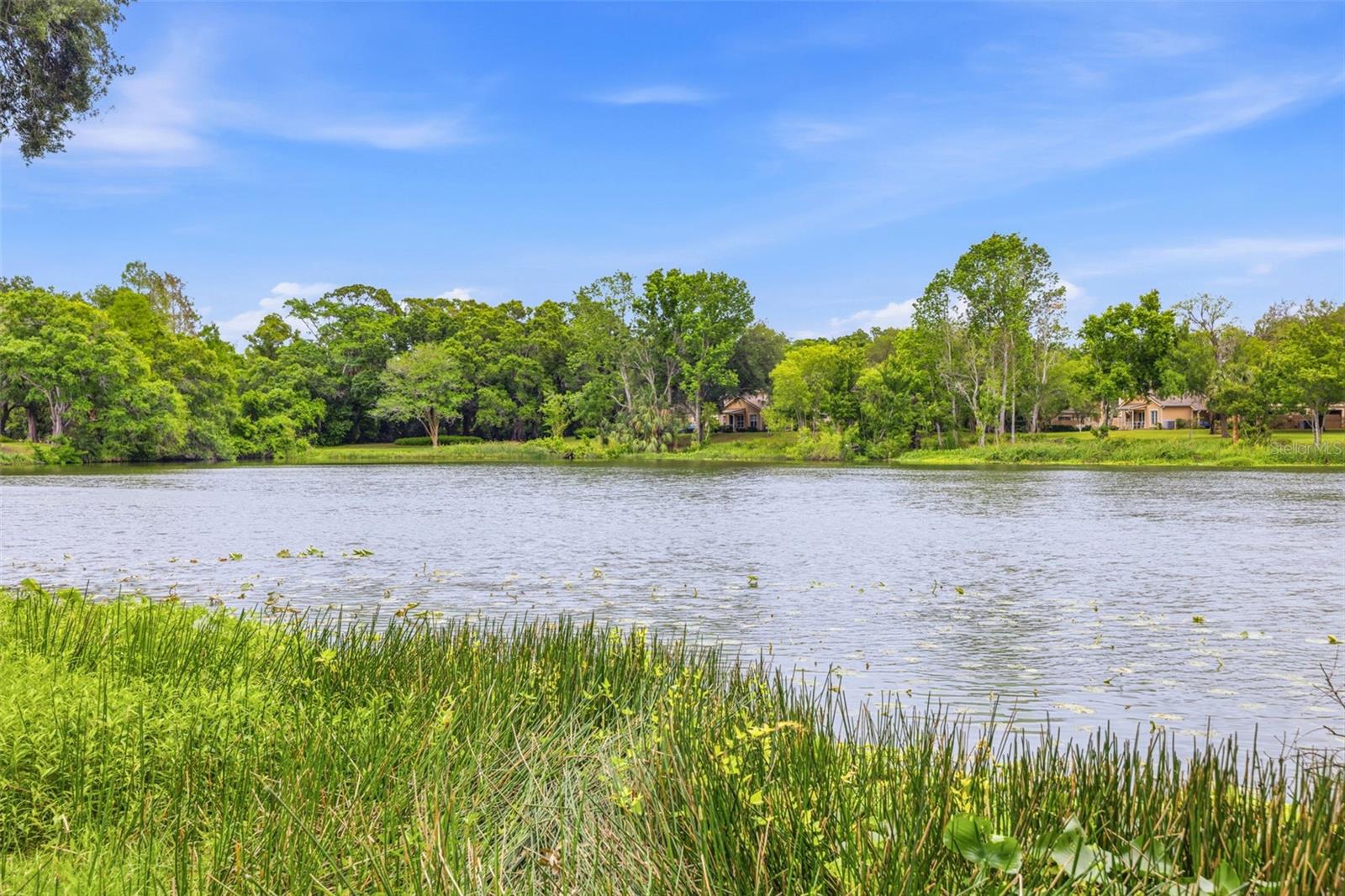 6015 LAKETREE LN #B, TEMPLE TERRACE, FL, 33617