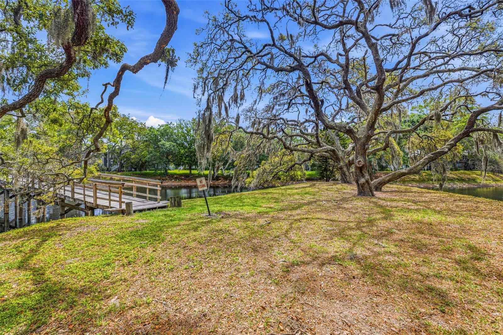 6015 LAKETREE LN #B, TEMPLE TERRACE, FL, 33617