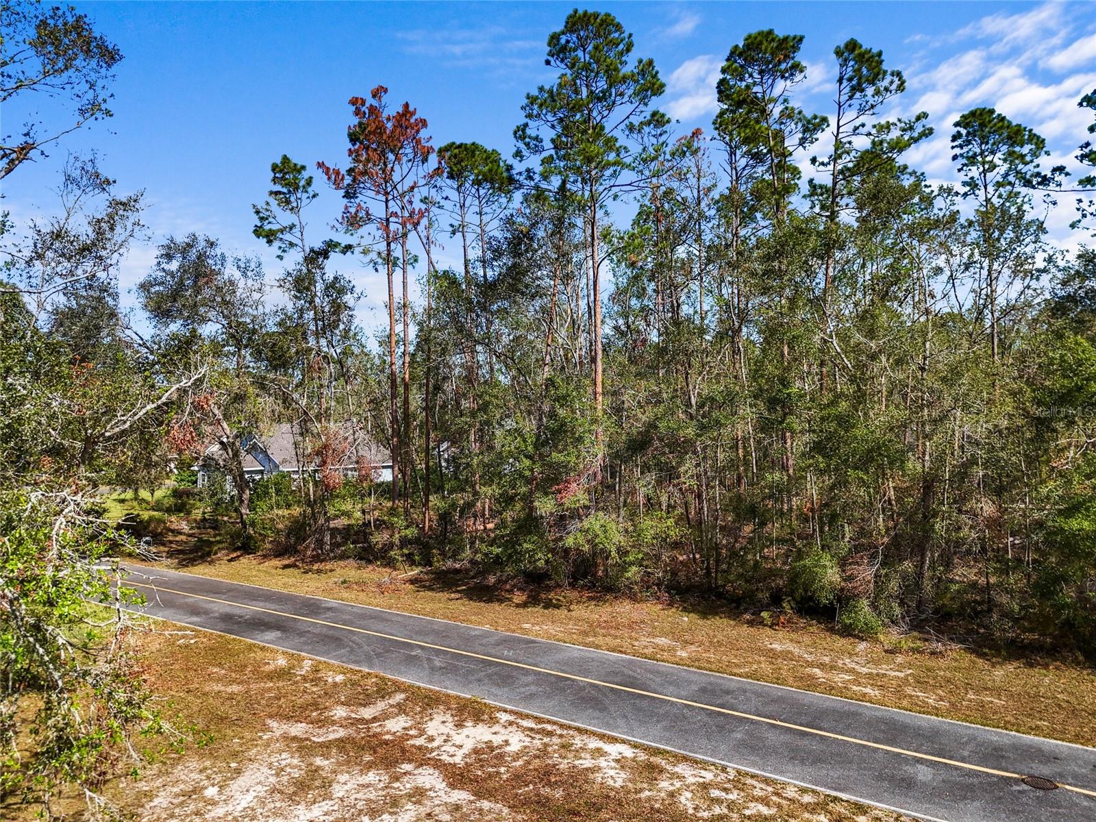 TBD WILDWOOD DR, LIVE OAK, FL, 32060