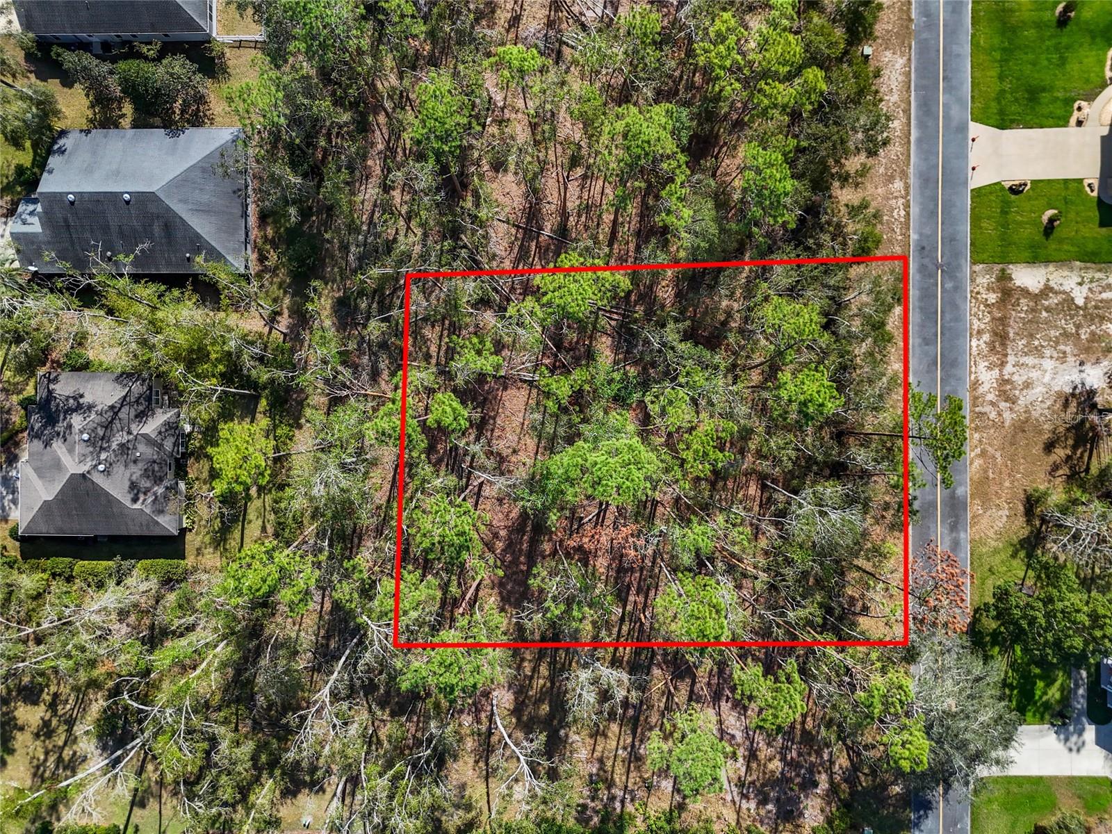 TBD WILDWOOD DR, LIVE OAK, FL, 32060