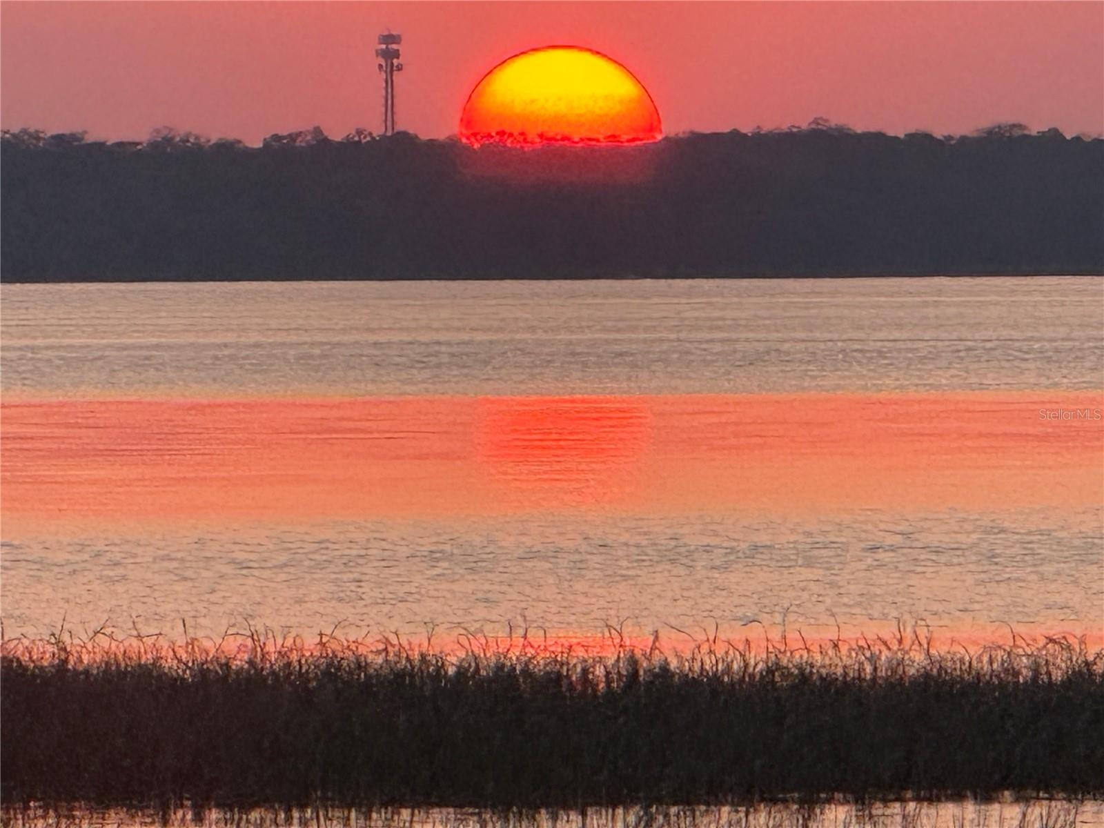 2225 CYPRESS CT #2C, TAVARES, FL, 32778