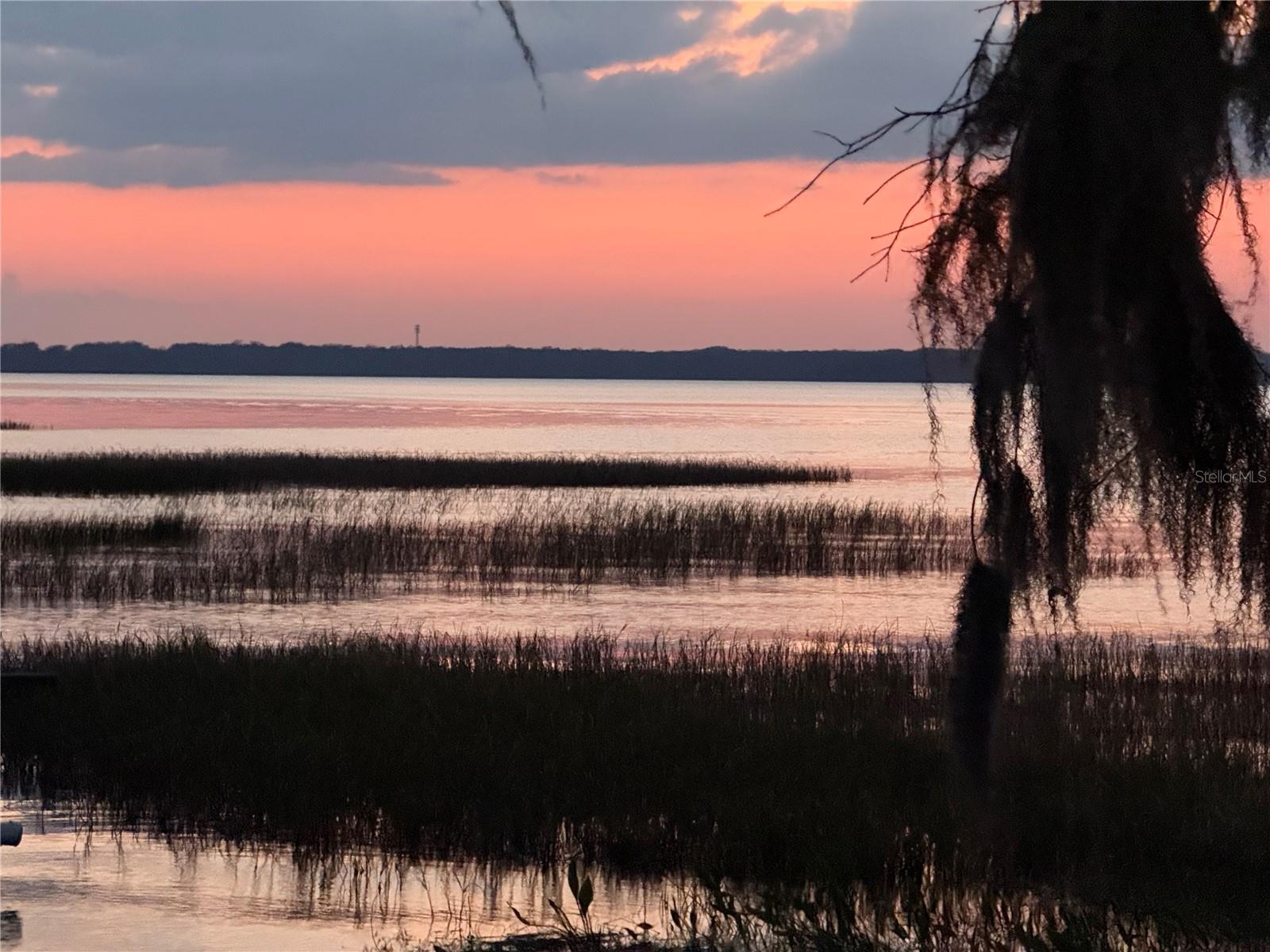 2225 CYPRESS CT #2C, TAVARES, FL, 32778