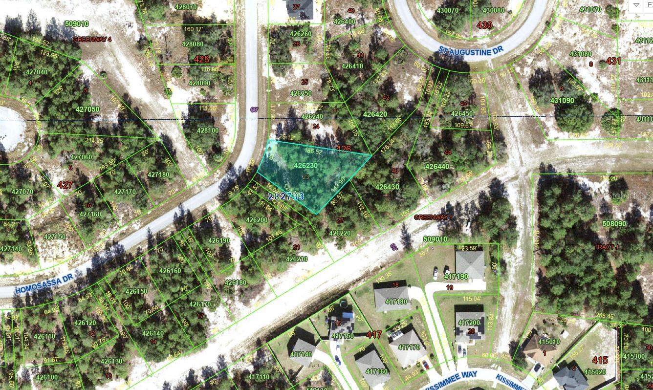 1318 HOMOSASSA DR, KISSIMMEE, FL, 34759