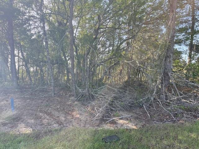 1318 HOMOSASSA DR, KISSIMMEE, FL, 34759