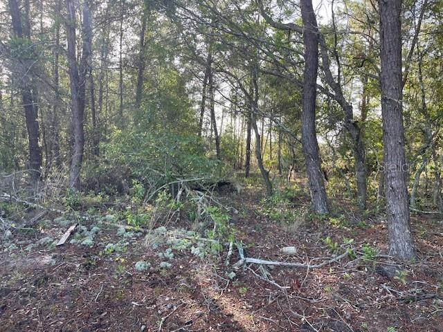 1318 HOMOSASSA DR, KISSIMMEE, FL, 34759