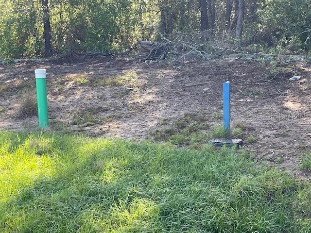 1318 HOMOSASSA DR, KISSIMMEE, FL, 34759