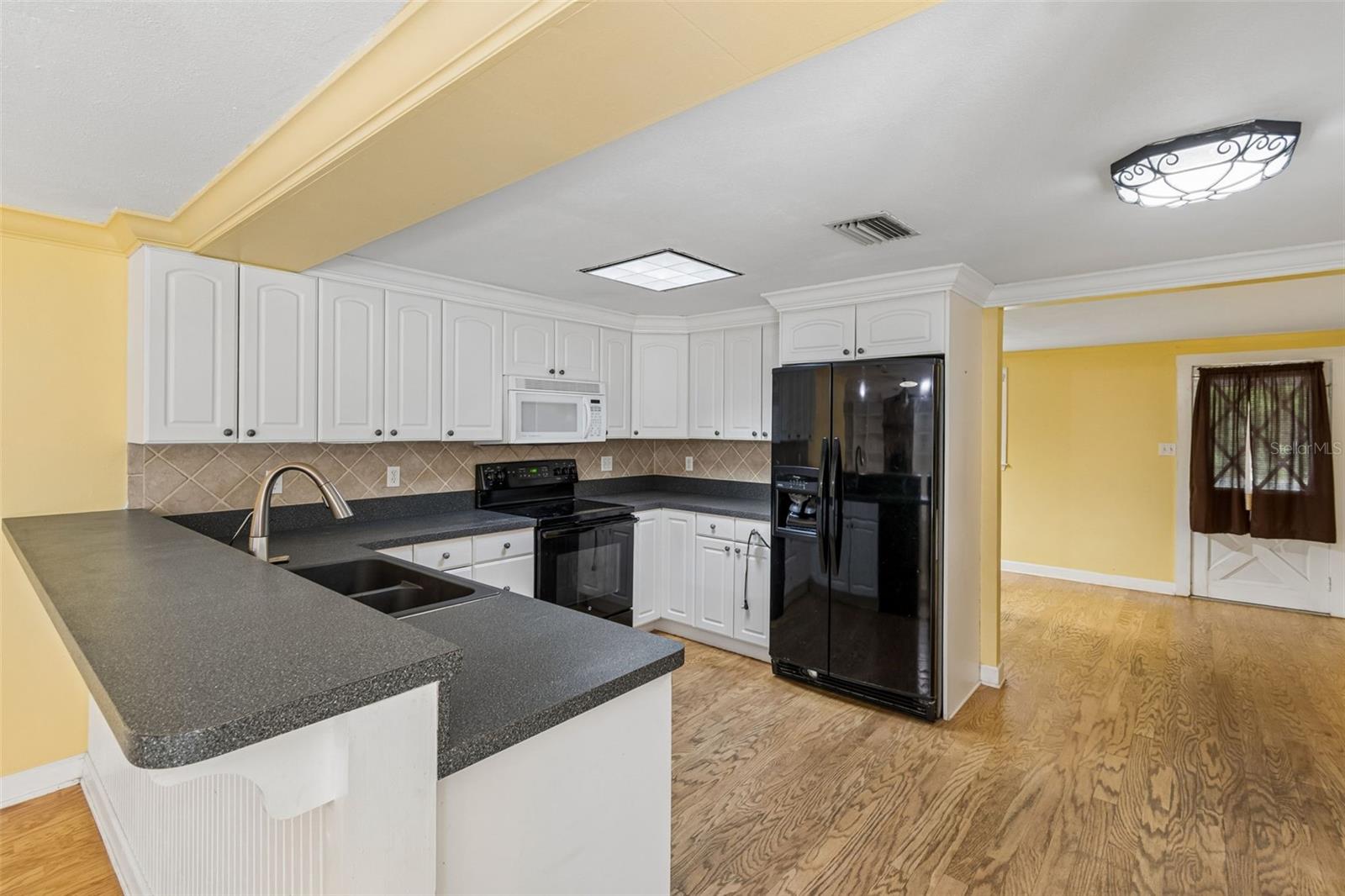 608 KRAZY LN, LUTZ, FL, 33548