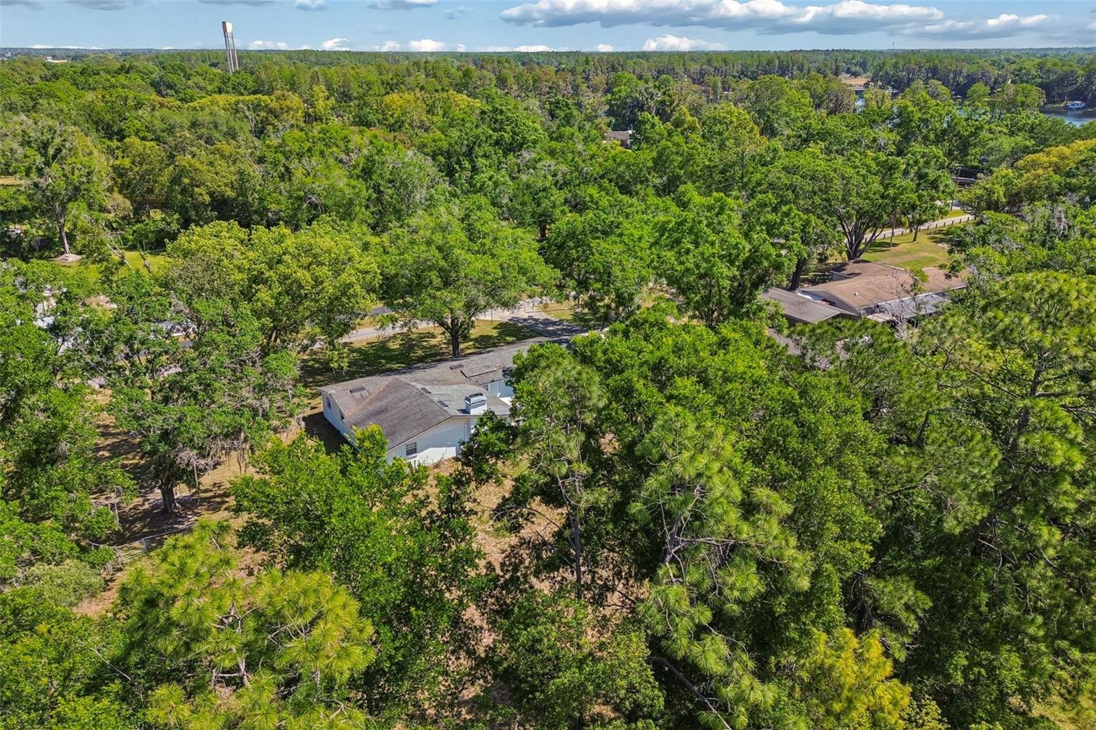 608 KRAZY LN, LUTZ, FL, 33548