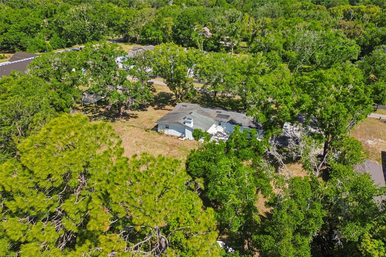 608 KRAZY LN, LUTZ, FL, 33548