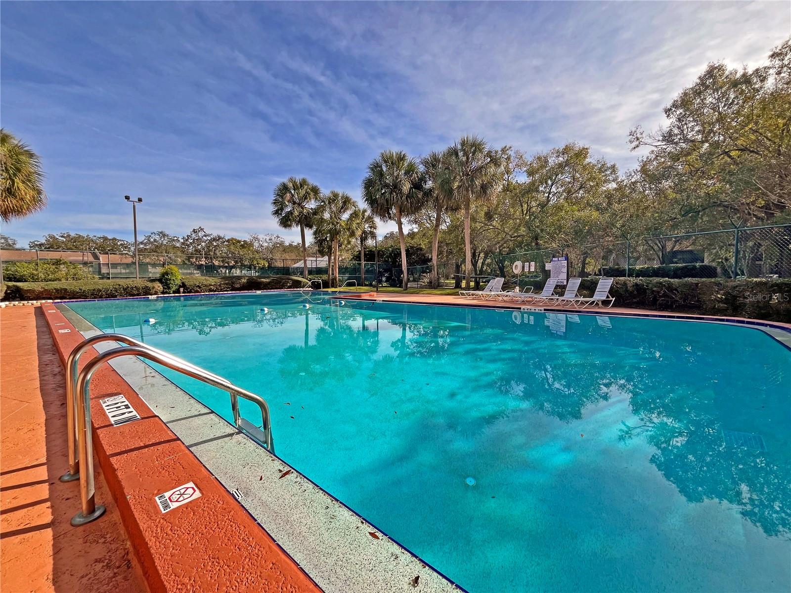 4207 WINDING MOSS TRL #208, TAMPA, FL, 33613