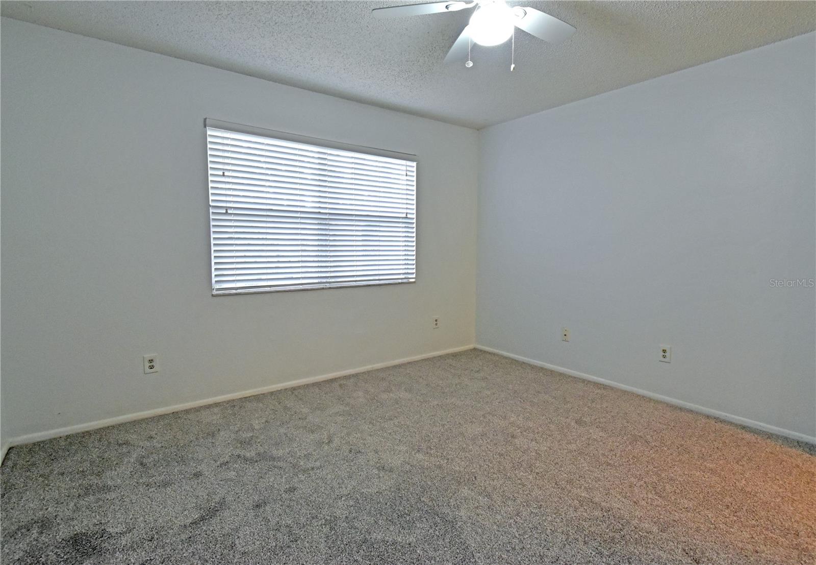 4207 WINDING MOSS TRL #208, TAMPA, FL, 33613