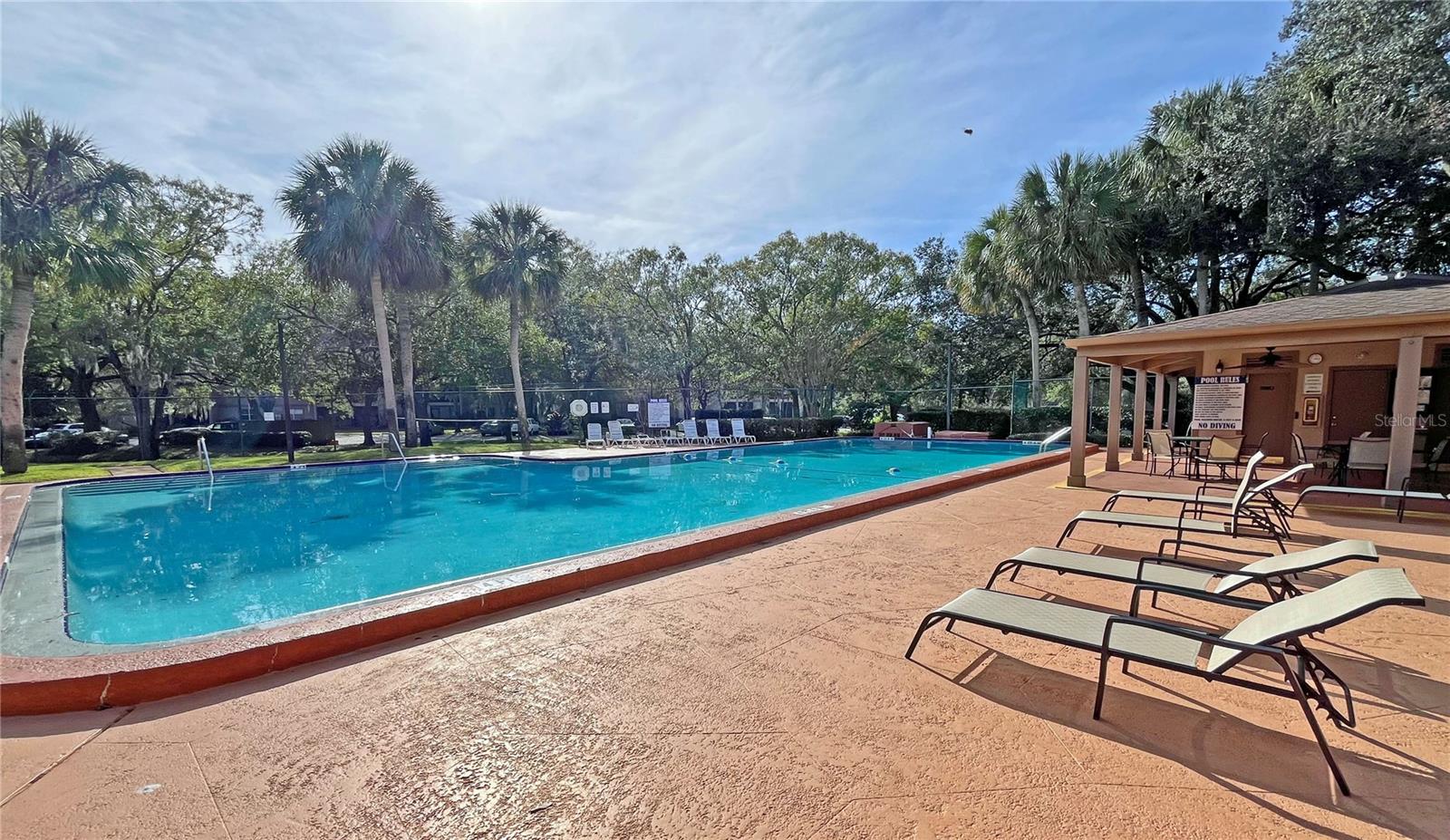 4207 WINDING MOSS TRL #208, TAMPA, FL, 33613