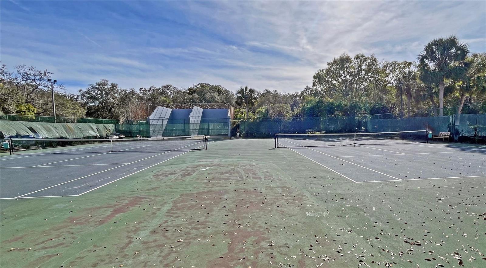 4207 WINDING MOSS TRL #208, TAMPA, FL, 33613