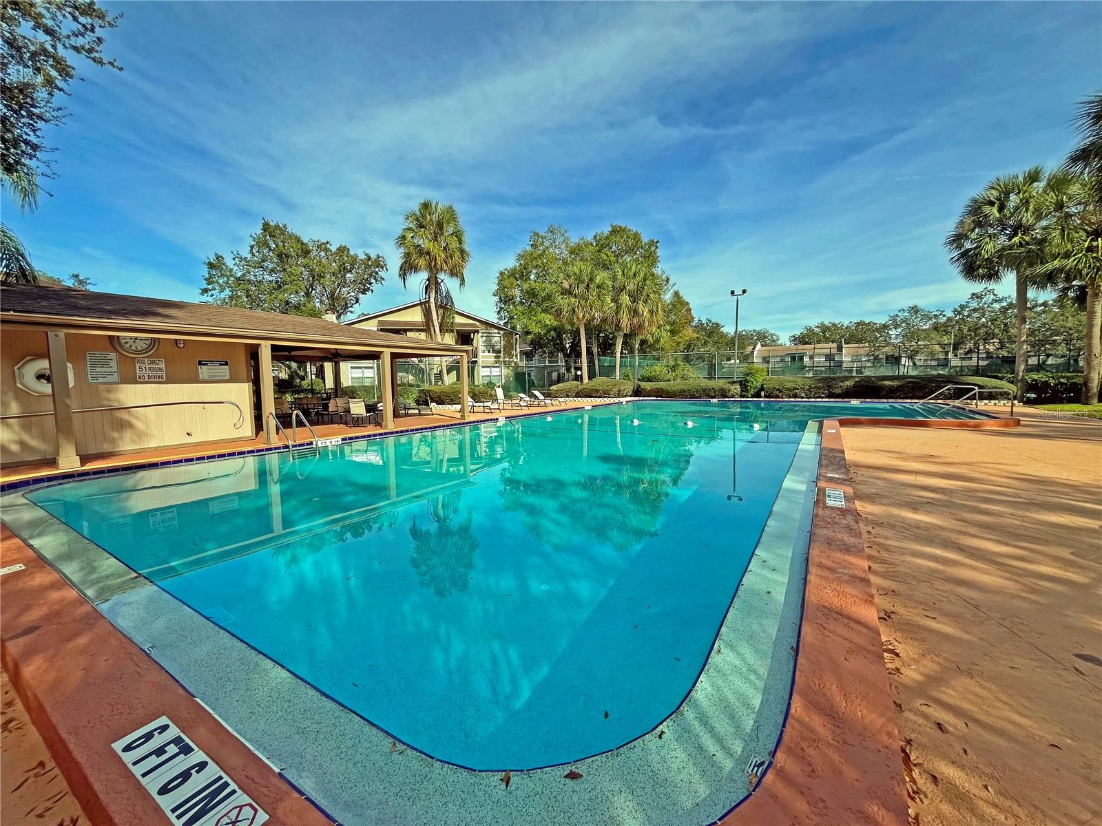 4207 WINDING MOSS TRL #208, TAMPA, FL, 33613