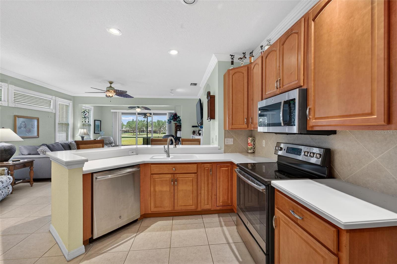 2420 SIFIELD GREENS WAY #2420, SUN CITY CENTER, FL, 33573