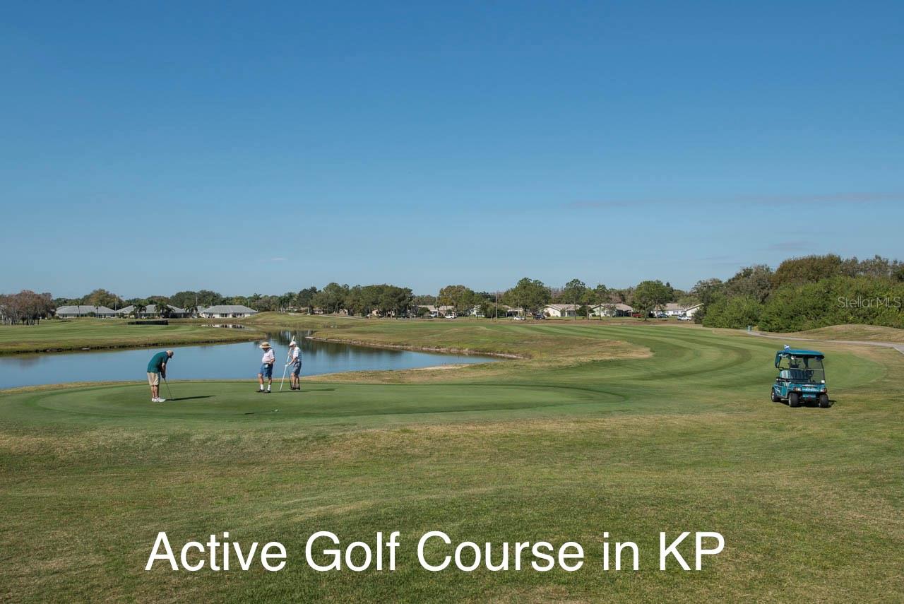 2082 SIFIELD GREENS WAY #3, SUN CITY CENTER, FL, 33573