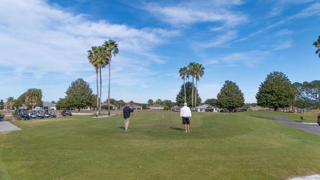 16135 SW 14TH AVENUE RD, OCALA, FL, 34473