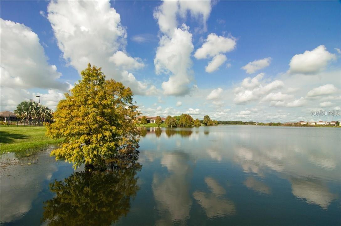 5578 MAGGIORE BLVD, LAKELAND, FL, 33805