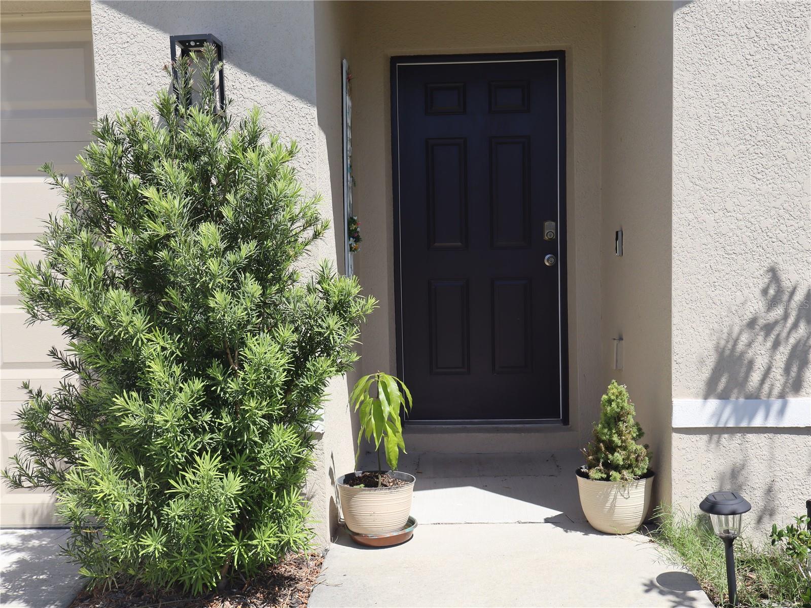 4676 SIGCOM PL, WILDWOOD, FL, 34785