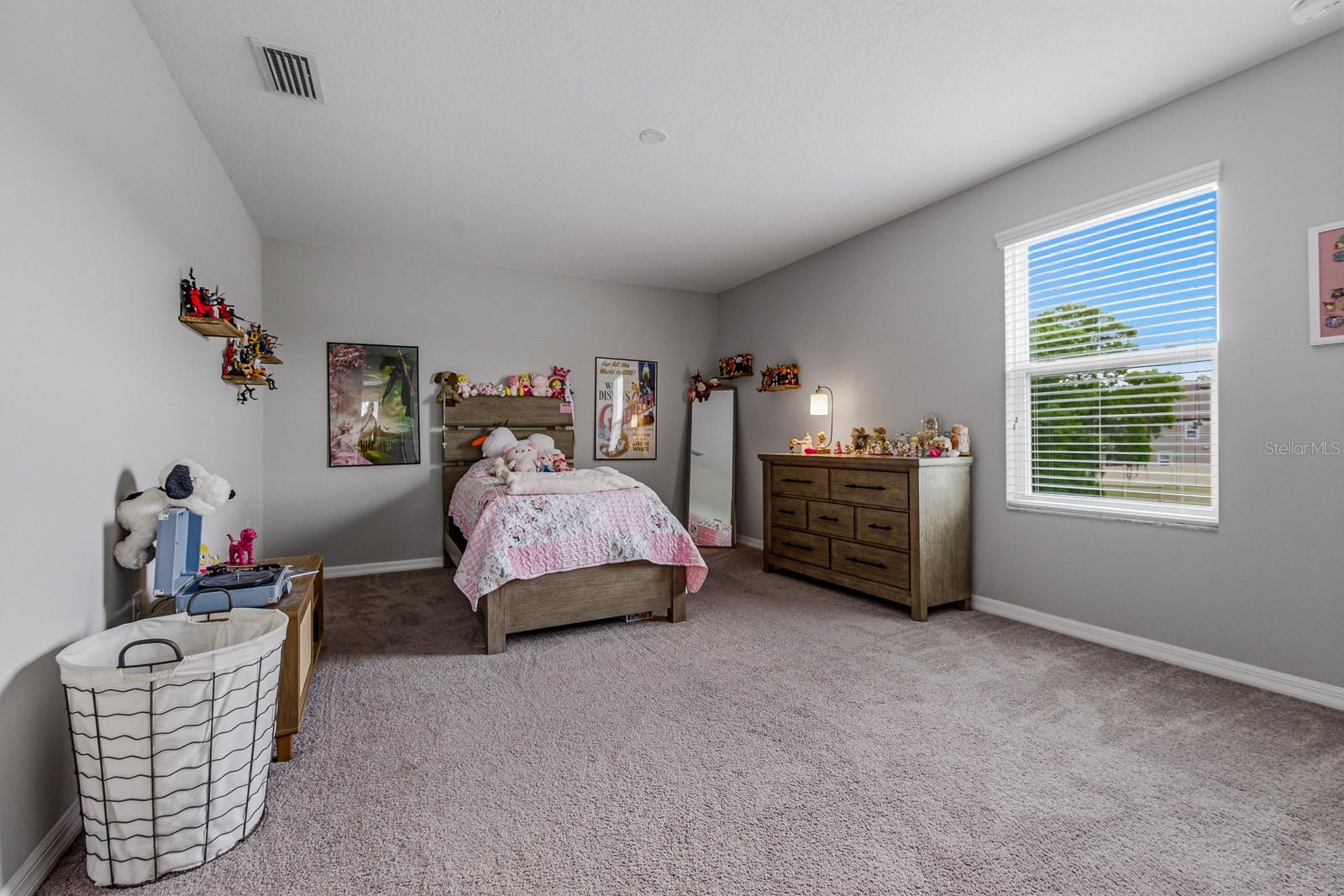 17834 CORTES CREEK BLVD, SPRING HILL, FL, 34610