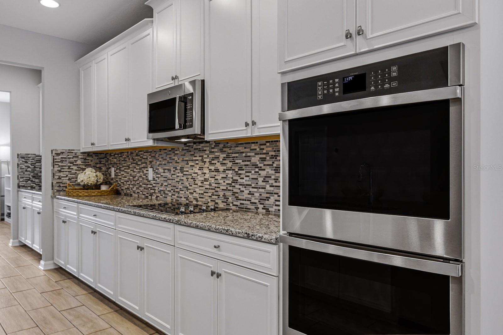 17834 CORTES CREEK BLVD, SPRING HILL, FL, 34610