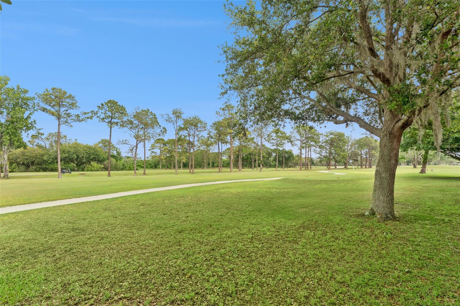 4627 BLUE MAJOR DR, WINDERMERE, FL, 34786