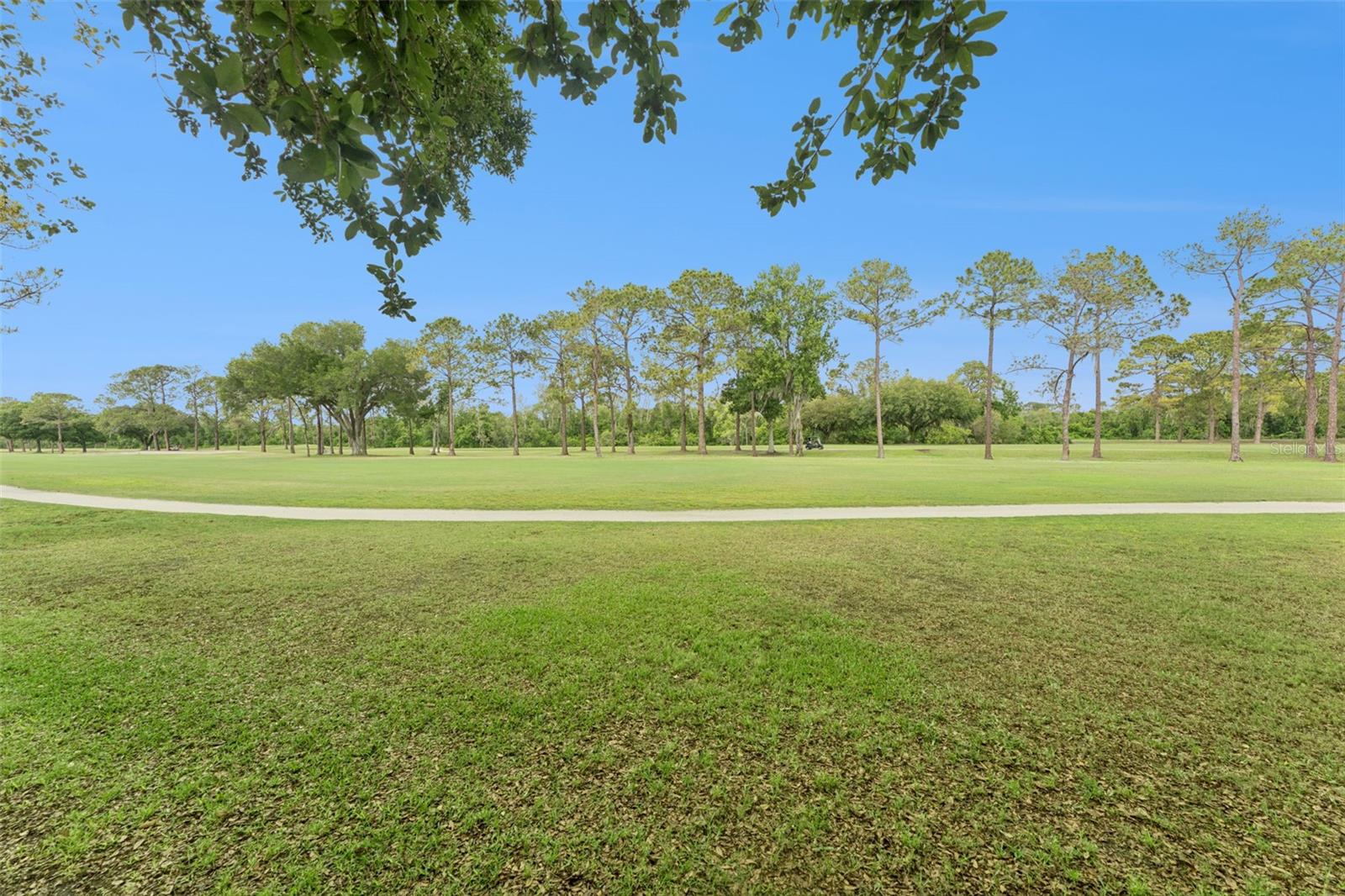 4627 BLUE MAJOR DR, WINDERMERE, FL, 34786