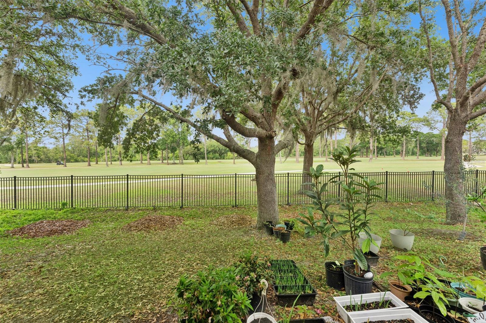4627 BLUE MAJOR DR, WINDERMERE, FL, 34786