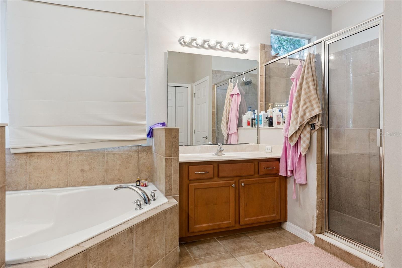 4627 BLUE MAJOR DR, WINDERMERE, FL, 34786