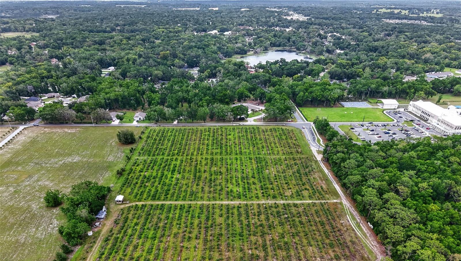 URICK ST, FRUITLAND PARK, FL, 34731