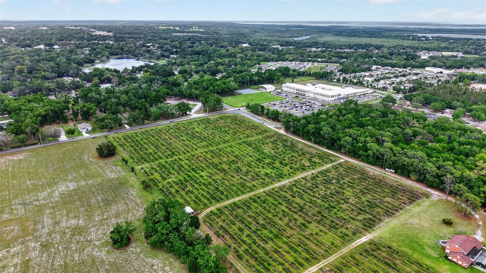 URICK ST, FRUITLAND PARK, FL, 34731