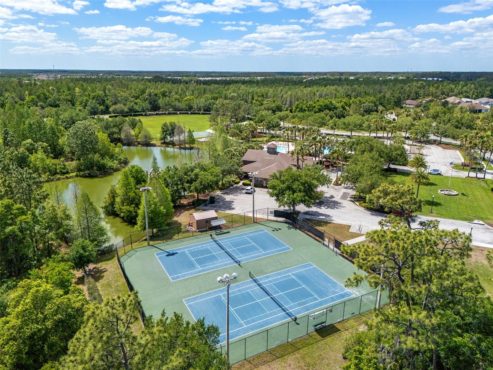 4501 ROLLING GREEN DR, WESLEY CHAPEL, FL, 33543