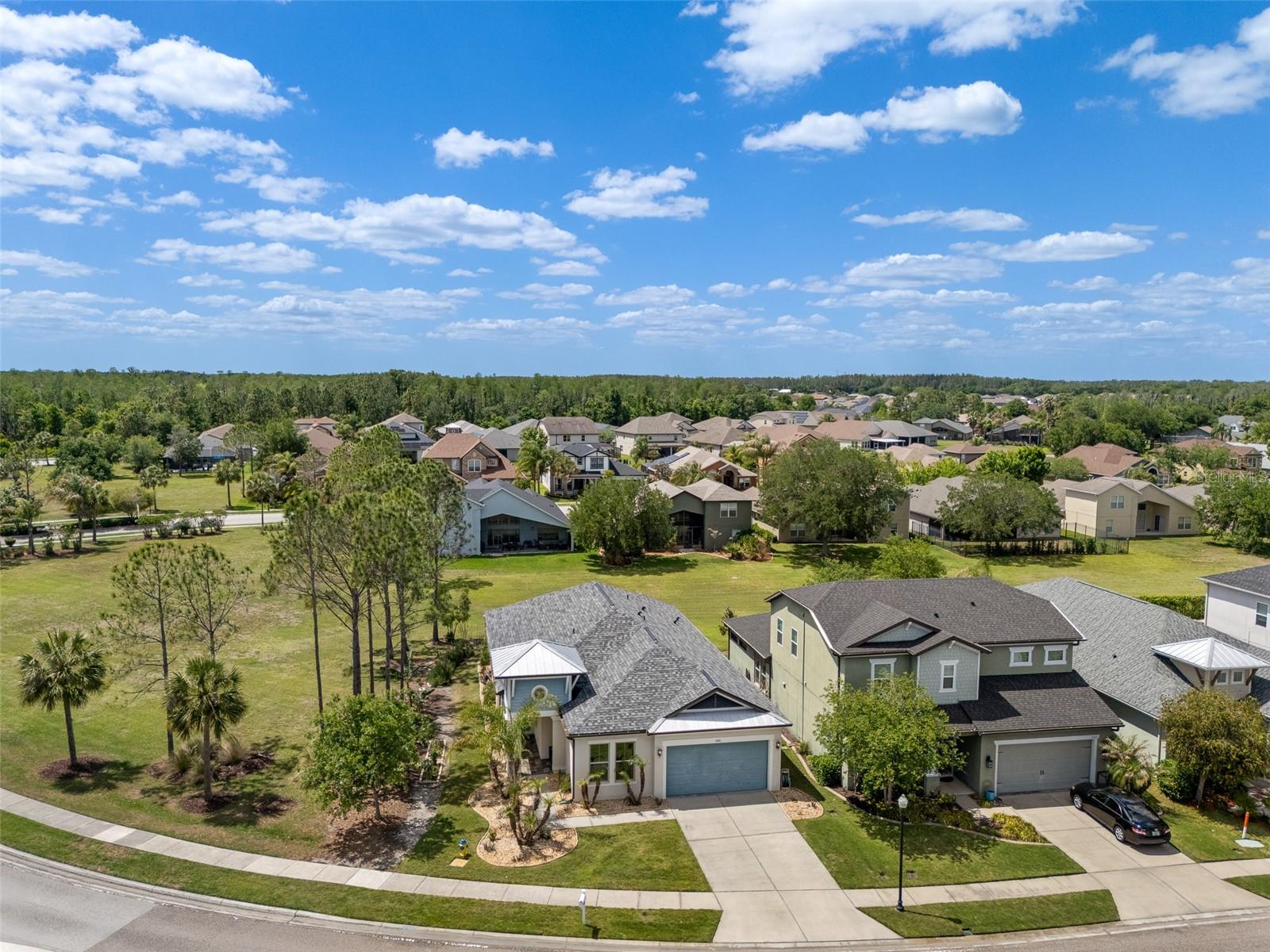 4501 ROLLING GREEN DR, WESLEY CHAPEL, FL, 33543