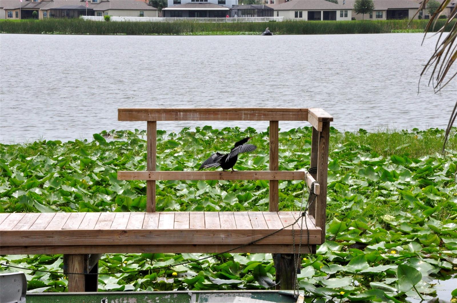 1600 W LAKE PARKER DR #A3, LAKELAND, FL, 33805