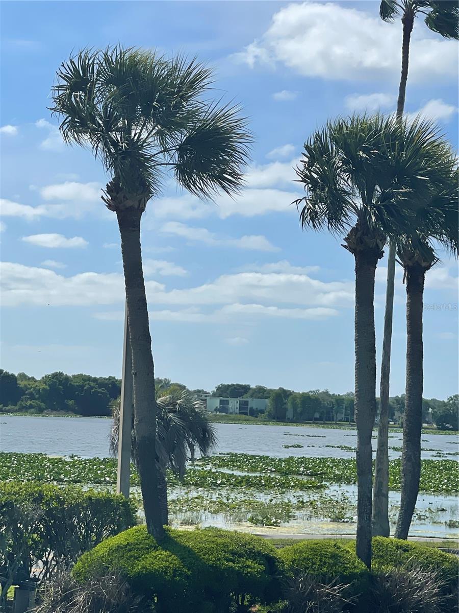 1600 W LAKE PARKER DR #A3, LAKELAND, FL, 33805