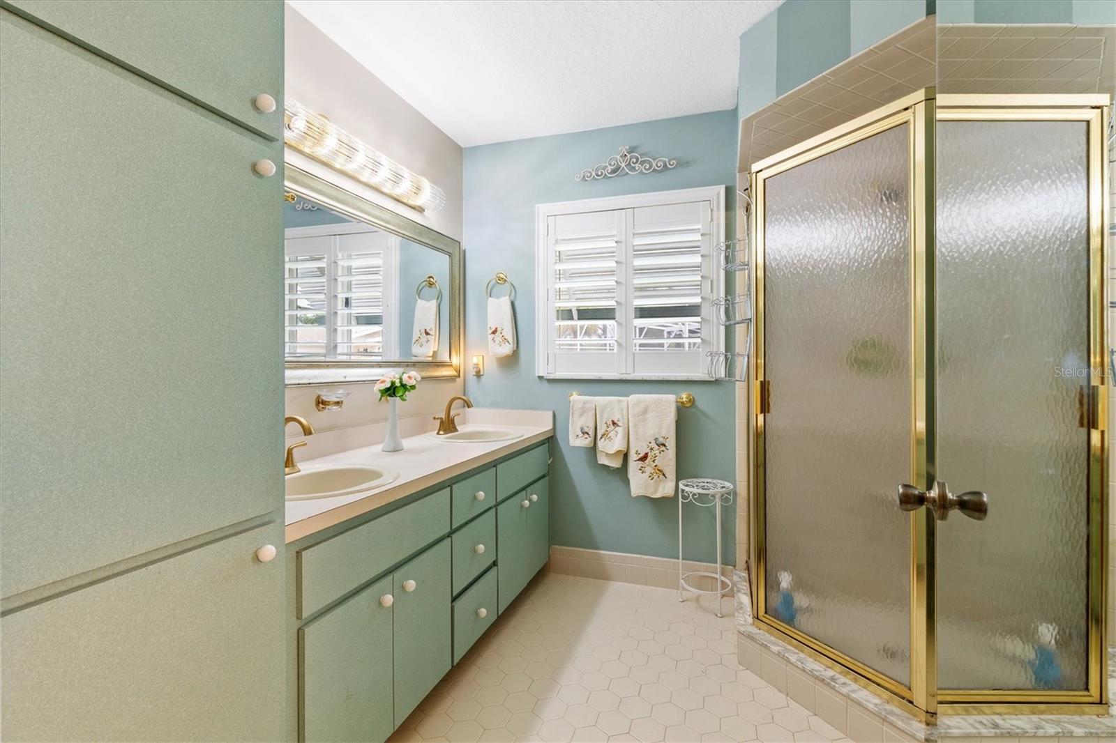 17990 SE 100TH TER, SUMMERFIELD, FL, 34491