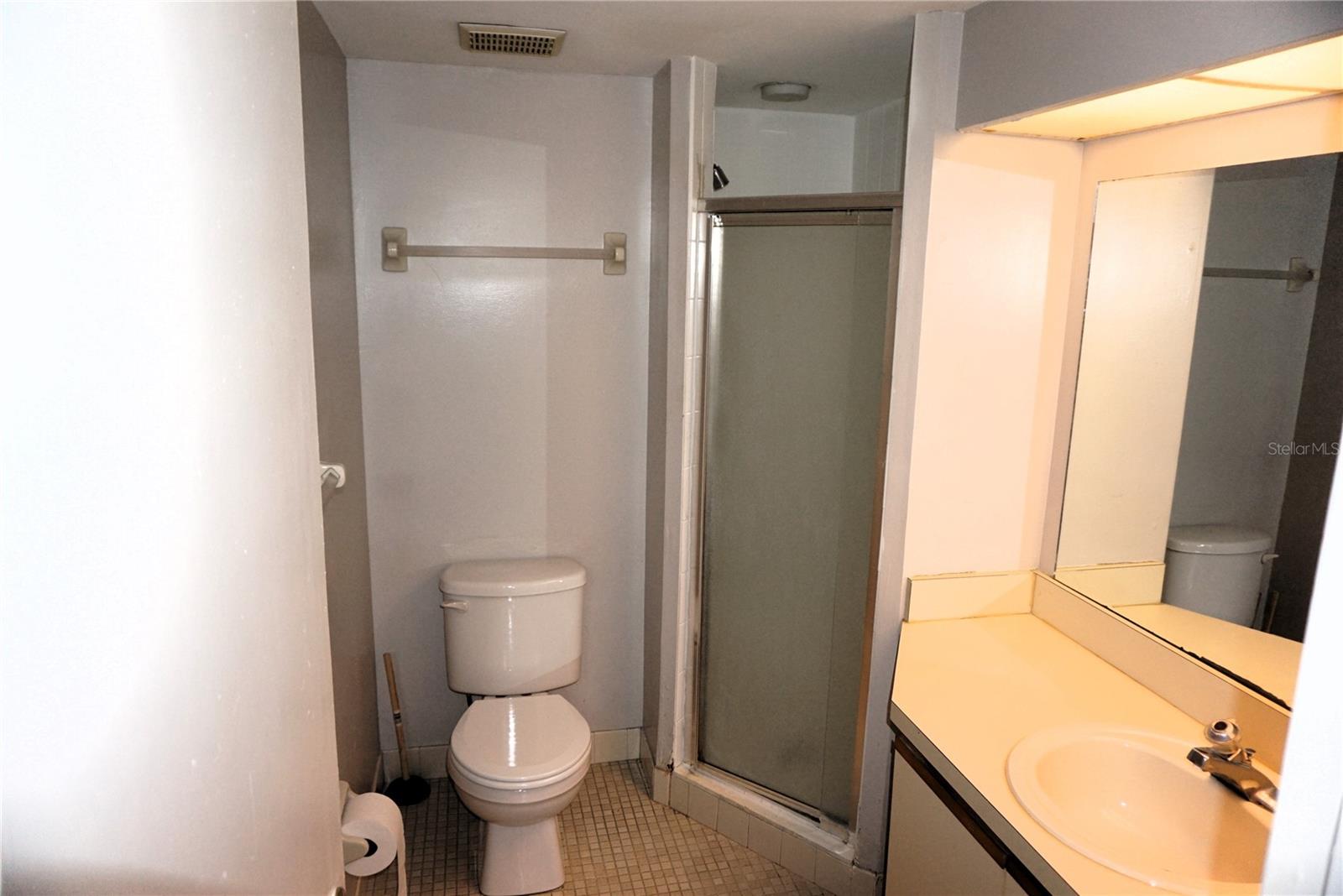 Primary bath with shower