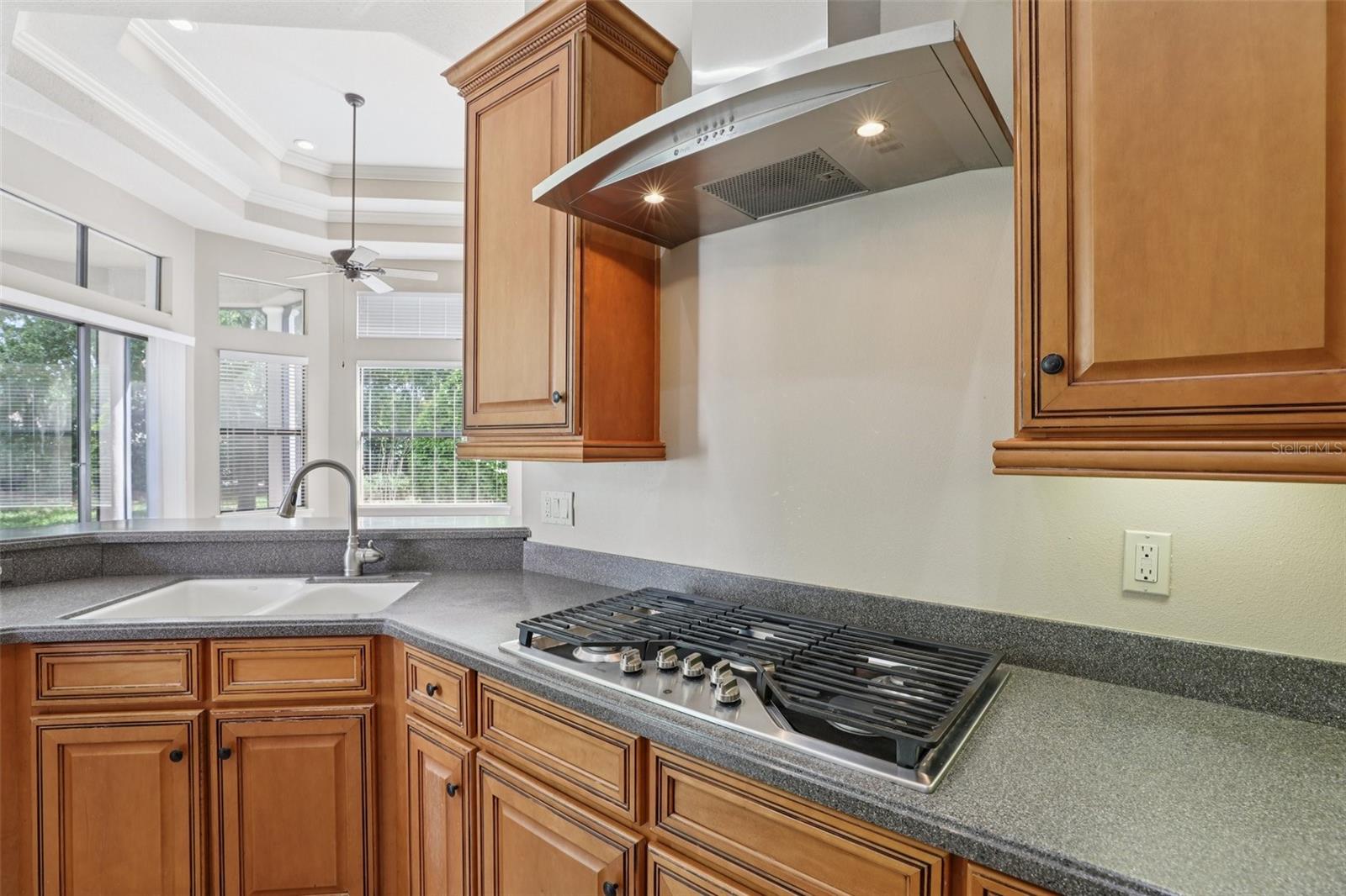 26345 SAN GABRIEL, HOWEY IN THE HILLS, FL, 34737