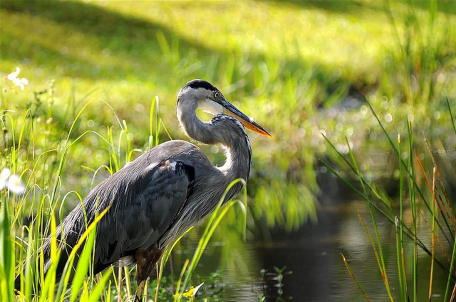 17508 & 17514 VELLUM CIR, PUNTA GORDA, FL, 33955