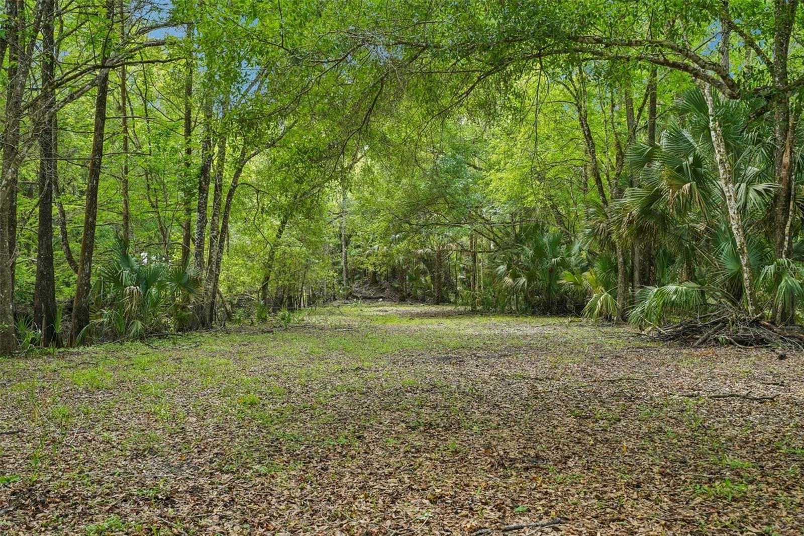 217 S TUCK PT, INVERNESS, FL, 34450