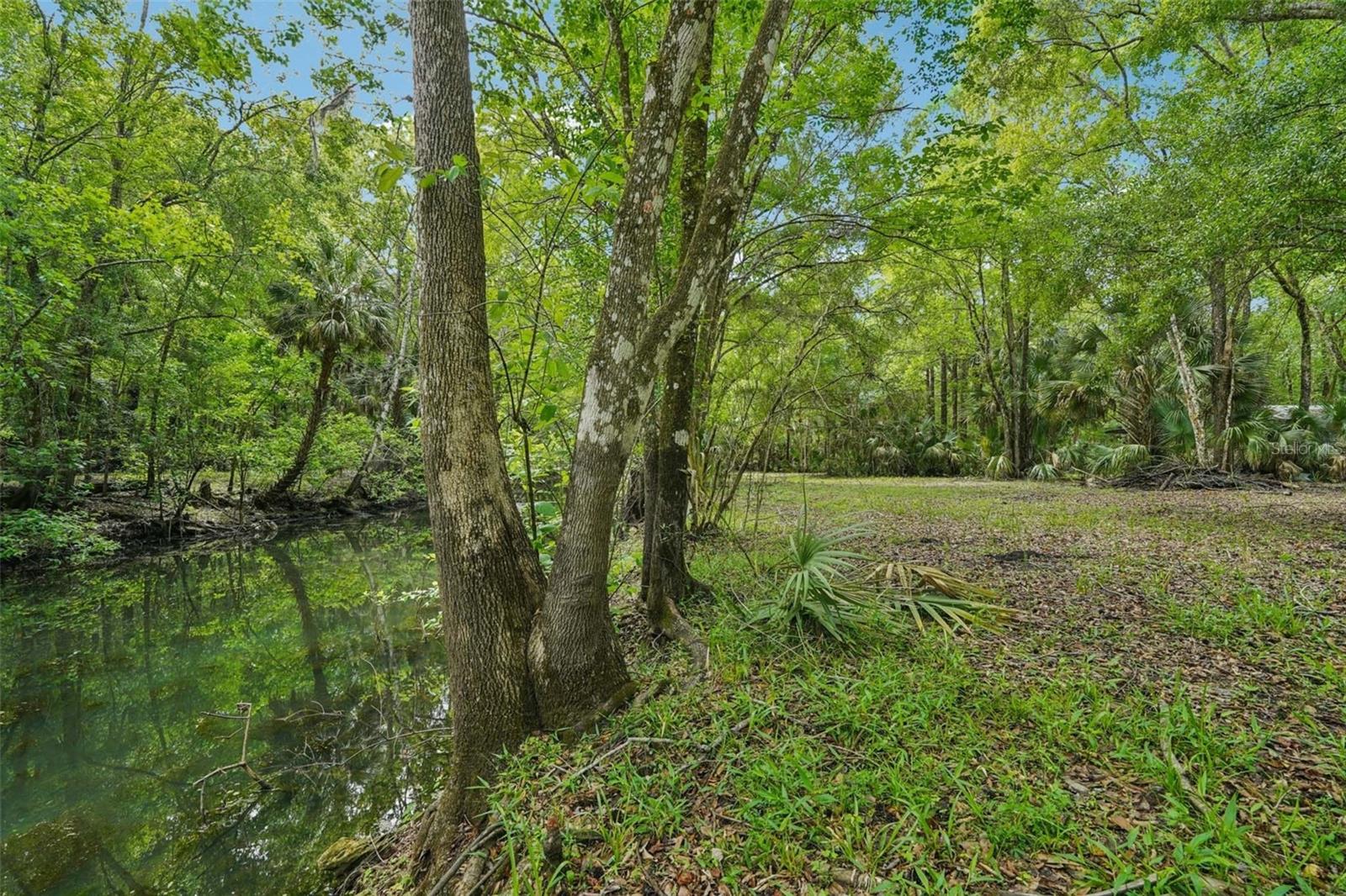 217 S TUCK PT, INVERNESS, FL, 34450