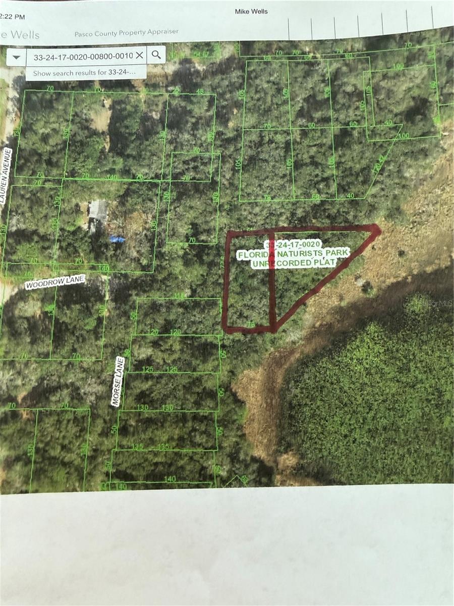 12236 WOODROW LN, HUDSON, FL, 34669