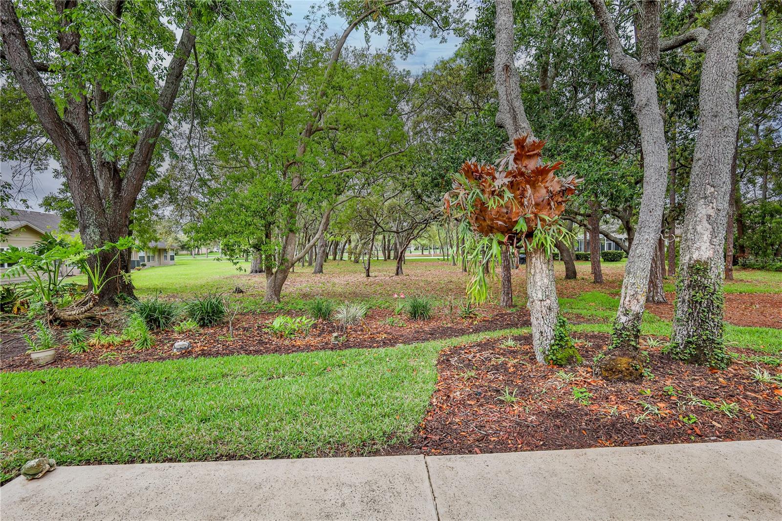 3017 WHISPERING PINES CT, SPRING HILL, FL, 34606