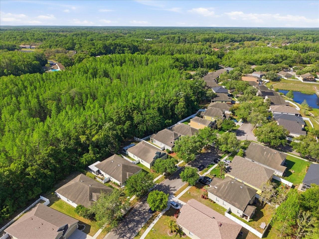 11844 COLONY LAKES BLVD, NEW PORT RICHEY, FL, 34654